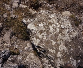FRANCE, Languedoc-Roussillon, Aude, Pic de Bugarach (1230m).  Cathar cross cut into rock beside
