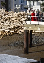 ENGLAND, West Sussex, Worthing, Timber washed up on the beach from the Greek registered Ice
