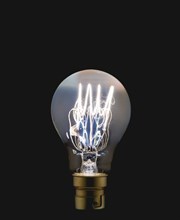 POWER, Elecricity, Light, Electric light bulb showing lit element against a black background