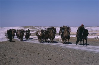 20088802 CHINA Xinjiang Province People Kazakh minority people moving camp riding horses and leading pack camels.