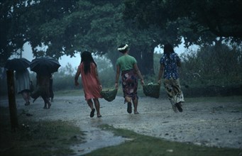 20088821 PACIFIC ISLANDS Polynesia Tonga Tongan women carrying woven baskets between them through monsoon rain.
