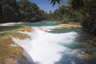 MEXICO, Chiapas, Parque Nacional Agua Azul, "Cascada Agua Azul, Agua Azul Waterfall, near Palenque"