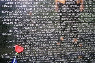 USA, Washington DC, "Inscriptions of deceased servicemen engraved on wall, Vietnam Veterans