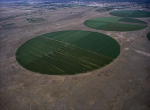 OMAN, Sohar, Aerial view over circular desert agriculture.