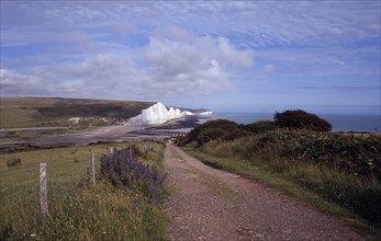 ENGLAND, East Sussex, Seven Sisters, The Seven Sisters white chalk cliffs viewed from a path at