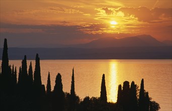 ITALY, Lombardy, Lake Garda , Sunset over Lake Garda from Punta San Vigilio with trees silhouetted