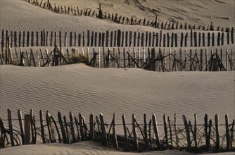 ENGLAND, Devon, Staunton Sands, Lines of picket fencing amongst sand dunes.