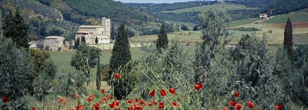 ITALY, Tuscany, San Antimo, San Antimo Abbey surrounded by green trees and hillside with red