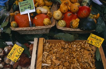 SWITZERLAND, Ticino, Lugano, Display of chanterelle and porcini mushrooms and decorative gourds for