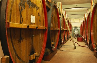 ITALY, Veneto, Lake Garda, Bardolino.  Large wooden wine casks in cellar at the Museum of Wine.