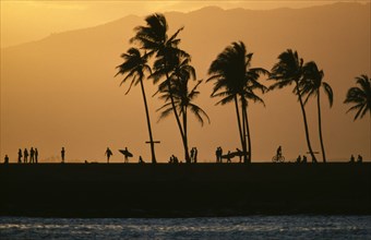 USA, Hawaii, Ala Moana, "Surfers, cyclists and palm trees silhouetted against orange sky with sea