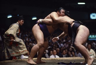 JAPAN, Samurai, Sumo, "Sumo wrestlers in ring watched by referee wearing the costume of a shogun.