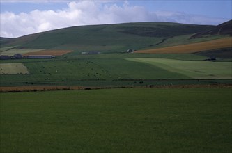 SCOTLAND, Orkney Island, Agriculture, Agricultural landscape showing field patterns and mix of