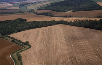 ENGLAND, Dorset, Agriculture, Aerial view over arable landscape and field patterns delineated by