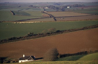 ENGLAND, Devon, Agriculture, "Agricultural landscape and field patterns with white painted,