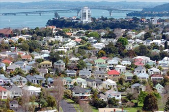 NEW ZEALAND, NORTH ISLAND, AUCKLAND, GENERAL VIEW OF THE RESIDENTIAL DISTRICT OF DEVENPORT IN THE