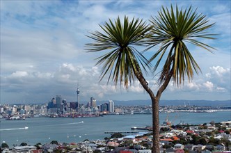 NEW ZEALAND, NORTH ISLAND , AUCKLAND , GENERAL VIEW OF AUCKLAND SKYLINE SHOWING AUCKLAND HARBOUR