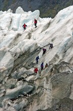 NEW ZEALAND, SOUTH ISLAND, WEST COAST, "MOUNT COOK NATIONAL PARK, A GROUP HIKES THE FRANZ JOSEF