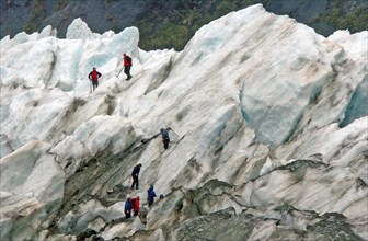 NEW ZEALAND, SOUTH ISLAND, WEST COAST, "MOUNT COOK NATIONAL PARK, A GROUP HIKES THE FRANZ JOSEF
