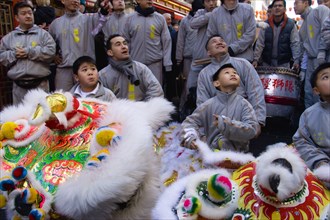 ENGLAND, London, Chinatown,  Lion Dance troupe in Gerrard Street with their lions before performing