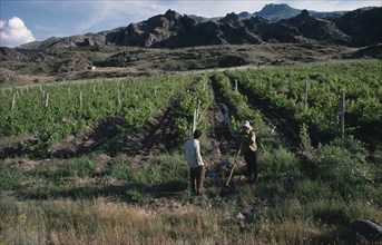 ARMENIA, Vaik Region, Agriculture, Landscape with vineyards and two men stopped in conversation in