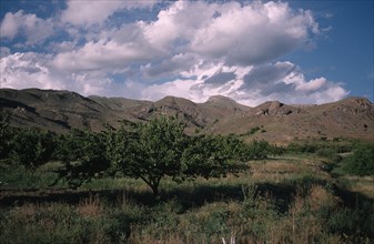 ARMENIA, Vaik Region, Agriculture, Landscape with apricot orchard.