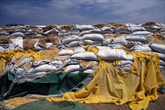KENYA, North, Lokichokio, Rotting sacks of food aid not distributed due to war in South Sudan.