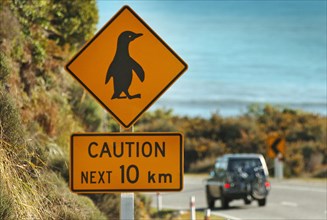 NEW ZEALAND, SOUTH ISLAND, PUNAKAIKI, BEWARE PENQUINS CROSSING ROAD WARNING SIGN ON THE WESTERN