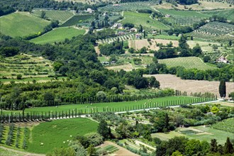 ITALY, Tuscany, San Gimignano, "Traditional agricultural field patterns of vineyards, olive groves
