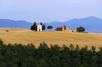 ITALY, Tuscany, San Quirico D’Orcia, Chapel and farmhouse set amongst wheatfields on the top of a