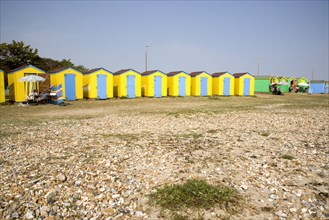ENGLAND, West Sussex, Littlehampton, A crescent of  yellow and blue beach huts with sunbathers on