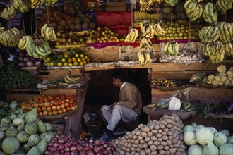 INDIA, Himachal Pradesh, Manali, Vendor amongst fruit stall