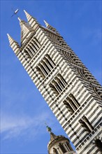 ITALY, Tuscany, Siena, The belltower of the Gothic Duomo or Cathedral of Santa Maria Assunta made