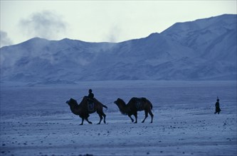 MONGOLIA, Gobi Desert, Early morning in mid-winter near Bigersum negdel collective with two camels