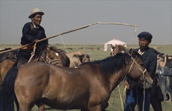 MONGOLIA, Gobi Desert, Biger Negdel, Khalkha horseman using a long lassoe-pole to bring in a wild