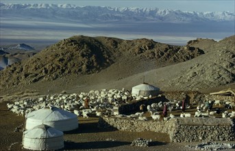 MONGOLIA, Gobi Desert, Khalkha winter sheep camp with three gers yurts and flock of sheep  part