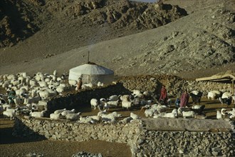 MONGOLIA, Gobi Desert, Khalkha winter sheep camp of gers yurts and flock of sheep  part penned