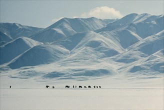 MONGOLIA, Altai Mountains, Gobi Desert, Mid-winter snow-covered landscape on edge of Gobi desert