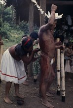 COLOMBIA, North WestAmazon, Vaupes, Maku woman painting the body of man wearing feather crown with