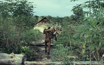 COLOMBIA, North West Amazon, Tukano Indigenous People, "Barasana Indian returns to maloca/communal