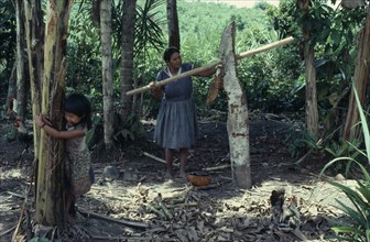 COLOMBIA, North West Amazon, Tukano Indigenous People, "Barasana woman  Paulina, headman Bosco's