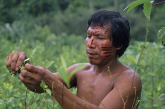 COLOMBIA, North West Amazon Vaupes rio Piraparana, Tukano Indigenous People, Makuna man Venancio