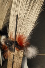 COLOMBIA, North West Amazon, Tukano Indigenous People, "Barasana ceremonial  royal crane tail