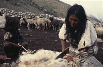 COLOMBIA, Sierra Nevada de Santa Marta, Ika, Ika mother sheering sheep with sheers bought in the