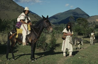COLOMBIA, Sierra Nevada de Santa Marta, Ika, Ika leader Vicente Villafana on mule outside the Ika