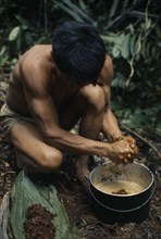 COLOMBIA, North West Amazon , Vaupes, Maku nomadic hunter Umero preparing curare from root liana