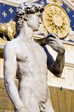ITALY, Tuscany, Florence, The copy of the statue of David by Michelangelo standing outside the