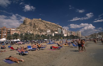 SPAIN, Pais Valenciano, Costa Blanca, "Alicante.  Sunbathers on sandy beach lined with palm trees