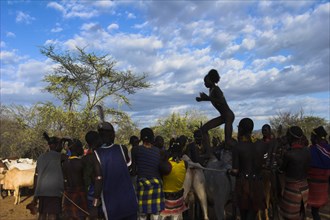 ETHIOPIA, Lower Omo Valley, Turmi, "Hama Jumping of the Bulls initiation ceremony, the naked