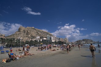 SPAIN, Pais Valenciano, Costa Blanca, "Alicante.  Sunbathers on sandy beach lined with palm trees
